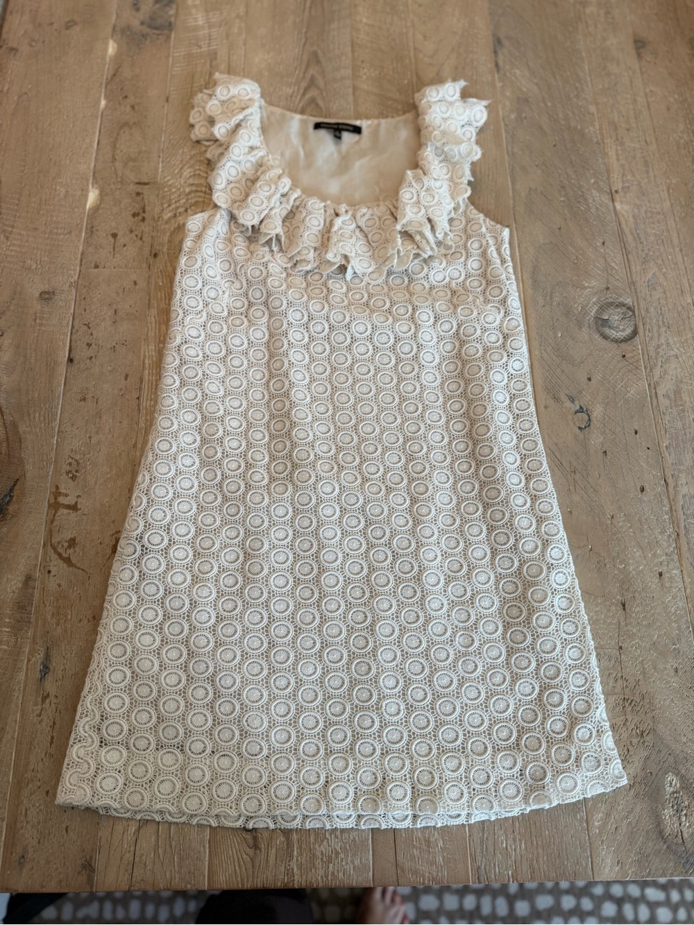 Cynthia Steffe Cream Eyelet Lace Ruffle-Neck Dress 8